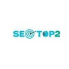 Dịch vụ seo Top 2