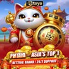 PHTAYA 