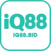 Iq88 bid