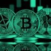Bitcoin Haberleri