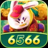 6566 baixar