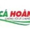 becahoanggia .com