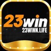 23win 