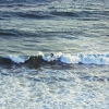 Daniel Hall