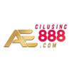 AE888 cilusinc