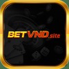 Betvnd - Sân Chơi Trực Tuyến Betvnd Tặng 100k