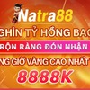 Natra88 88