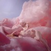 Andrea Minze