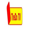 ThedoTV 