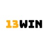 13WINGROUP COM