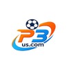 p3 