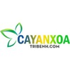 Cây An Xoa Trị Bệnh