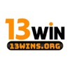 13WINS ORG