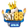 Sky88 Srl