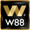 W88 TTNET