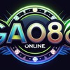 GAO 86