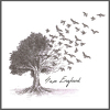 Sam England