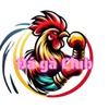 Ðá gà Club
