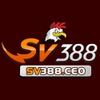 Sv388 Đá Gà