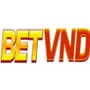 betvndaeorg 