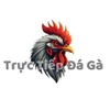 Gatructiep.pro - Website Xem Đá Gà Trực Tiếp Thomo