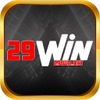 29winnet 