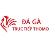 Đá Gà Trực Tiếp
