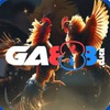 GA888 