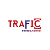 dvtrafficseotop seo