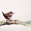 Janine Preece