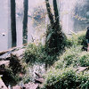 LIN WENYAO