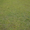 test test