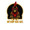 Bí Kíp Đá Gà