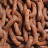 Krzyszrof Gutnicki