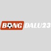 Bongda lu
