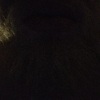 Enrico
