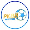 PK88 ad