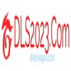 dls2023com 