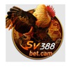 sv388 bet