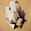rob toloy