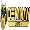 demnaylive bongda