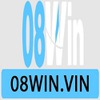 08Win Vin