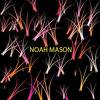 Explore Noah Mason’s Profile