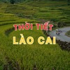 Thời tiết Lào Cai