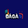 Đá Gà Trực Tiếp