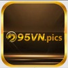95VN pics