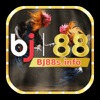 Bj88 info