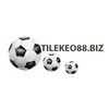 Tilekeo88 
