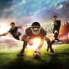 đăng nhập 8xbet