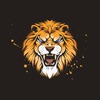 T shirt Designer